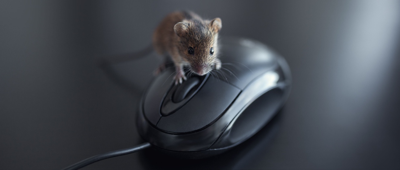 How to Keep Mice Out of Your NYC Office or Retail Space